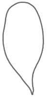 hand_21
