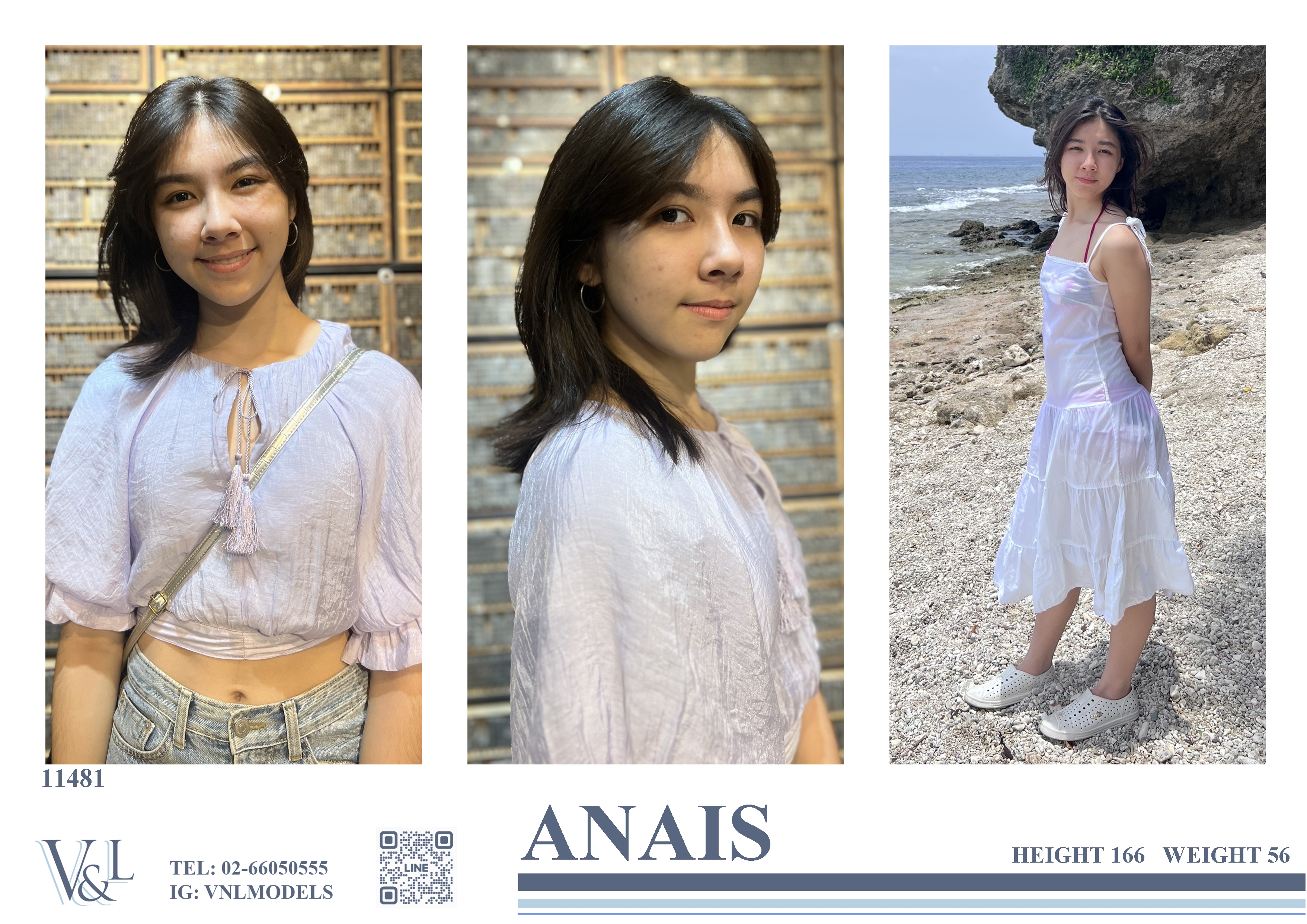 11481 Anais